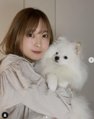 いとくとら マヂラブ村上の嫁!馴れ初めや踊ってみた動画、高校など経歴プロフィール!